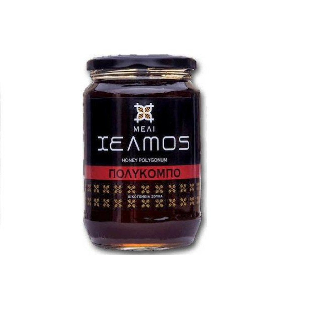 Χελμός Μέλι Πολύκομπου 480gr