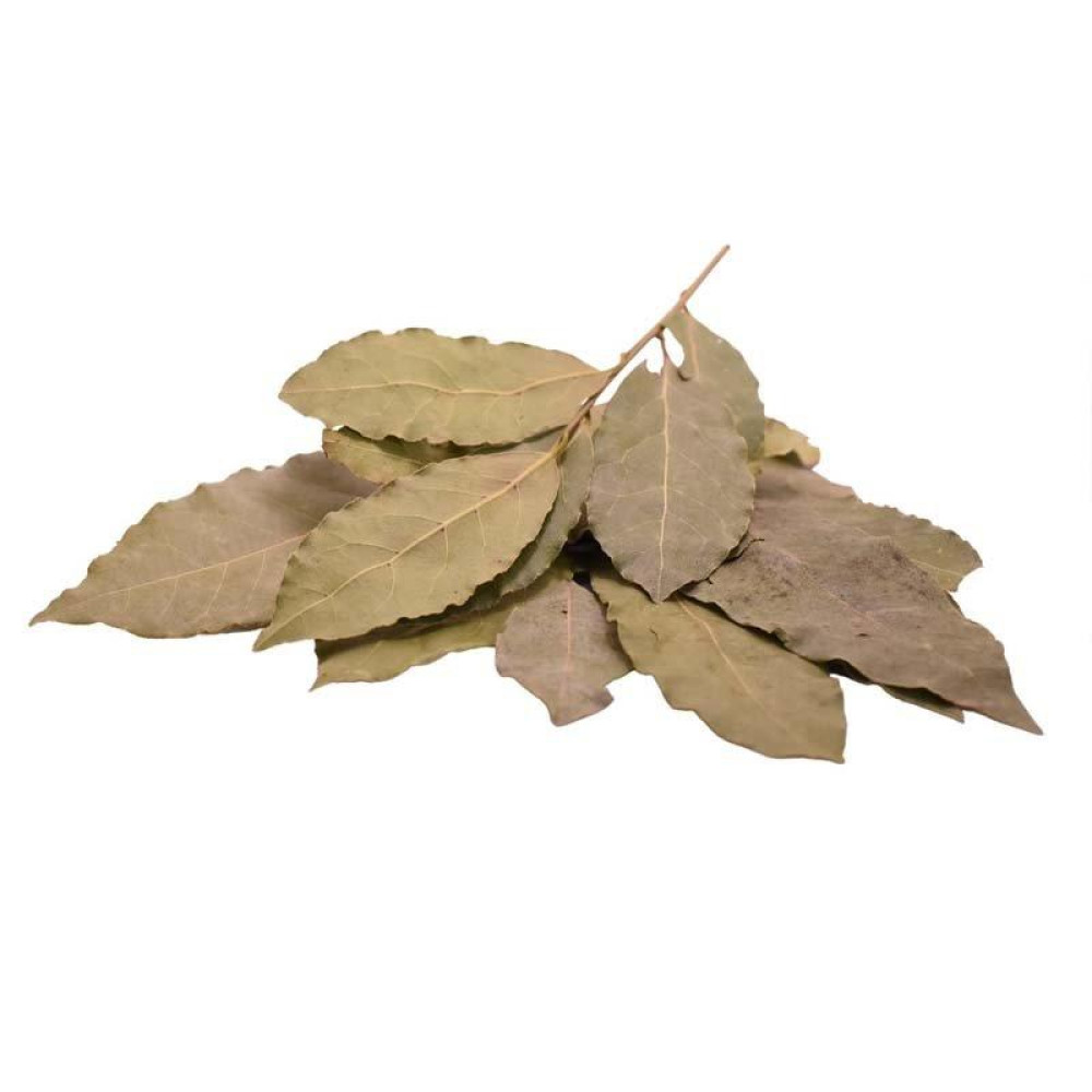 Φύλλα Δάφνης