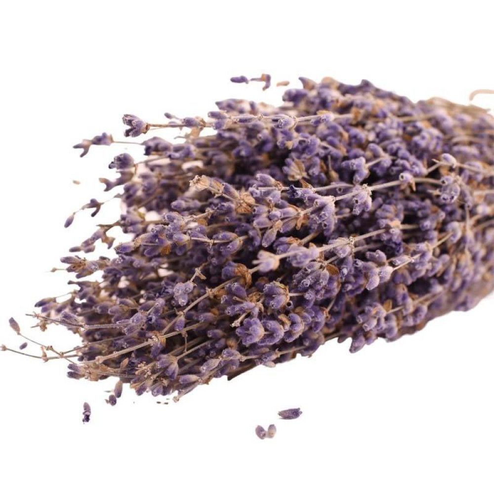 Λεβάντα Μάτσο  (Λαμπρή, Λαβαντή, Χαμολίβανο, Αβαγιάνος, Lavandula angustifolia)