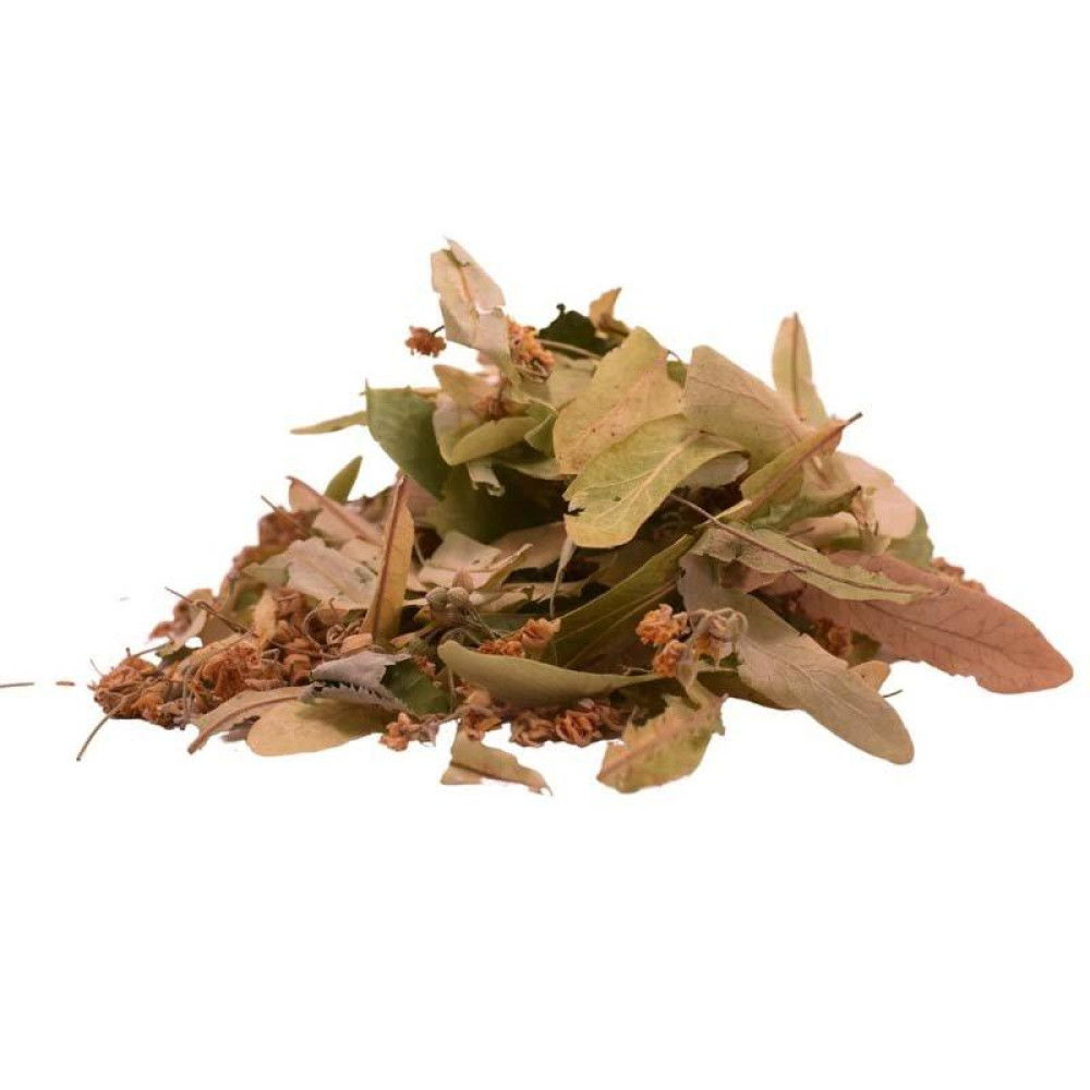 Τίλιο (Φλαμούρι, Φιλύρα, Tilia Εuropaea)