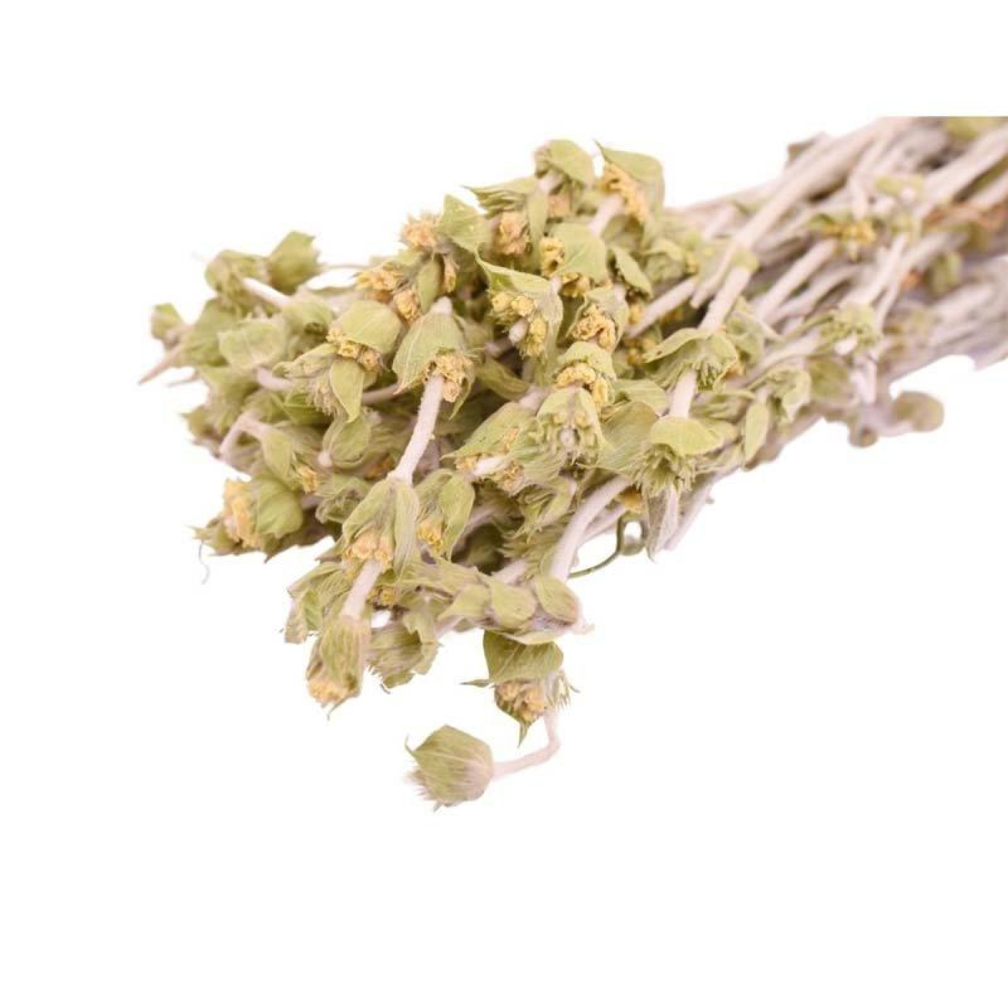 Τσάι Βουνού Βόλου (Σιδερίτης, Sideritis Scardica)