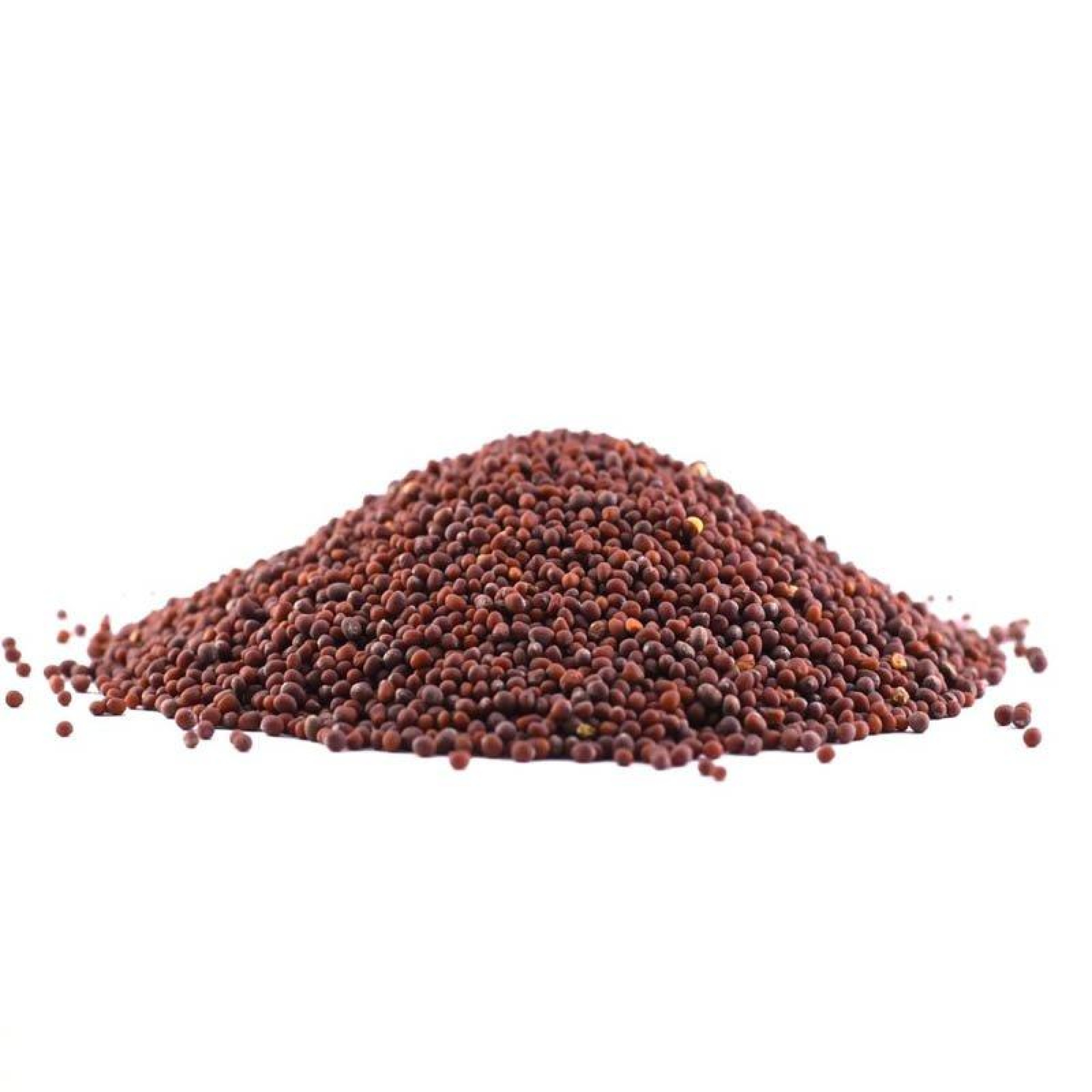 Σινάπι Μαύρο