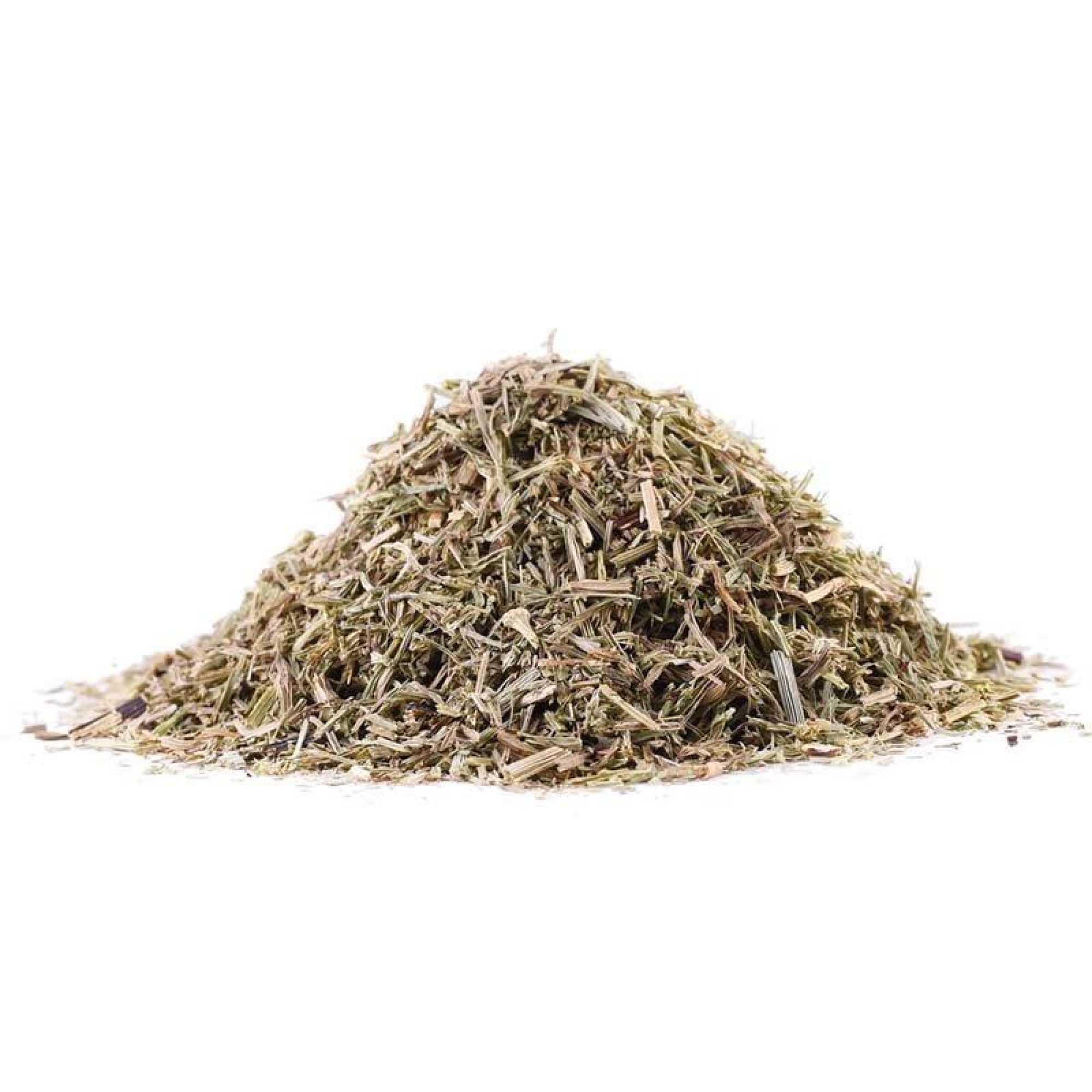 Εκουιζέτο (Πολυκόμπι, Κοντυλόχορτο, Ιππουρίδα, Equisetum arvense)