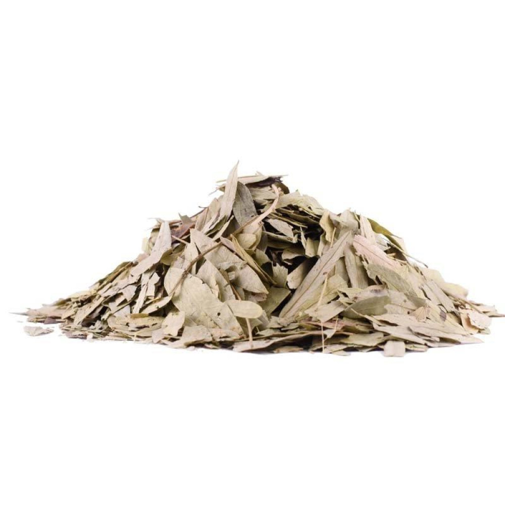 Ευκάλυπτος Φύλλα (Eucalyptus globulus)