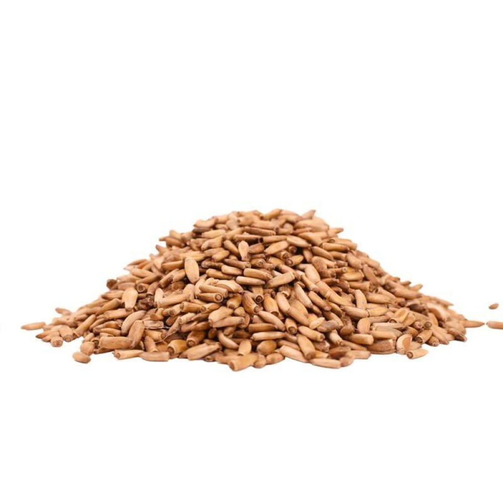 Γαϊδουράγκαθο σπόρος (Σίλλυβο, Κουφάγκαθο, Κάρδος, Silybum marianum)