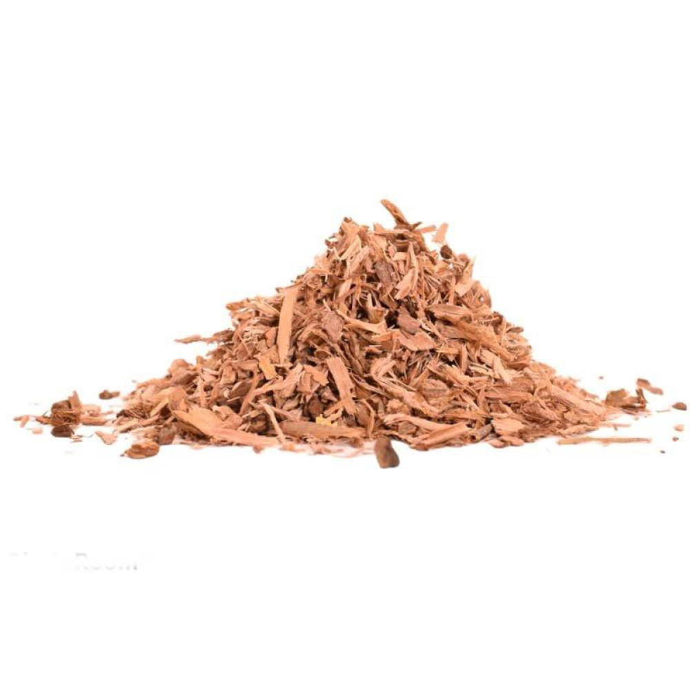 Ιτιά (Ιτέα, Παλιά, Salix Alba)