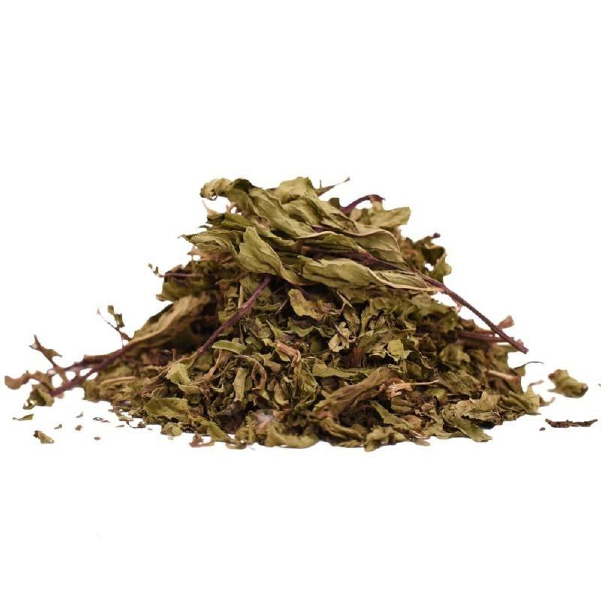 Μέντα Φύλλα (Μίνθη, Mentha Spicata)