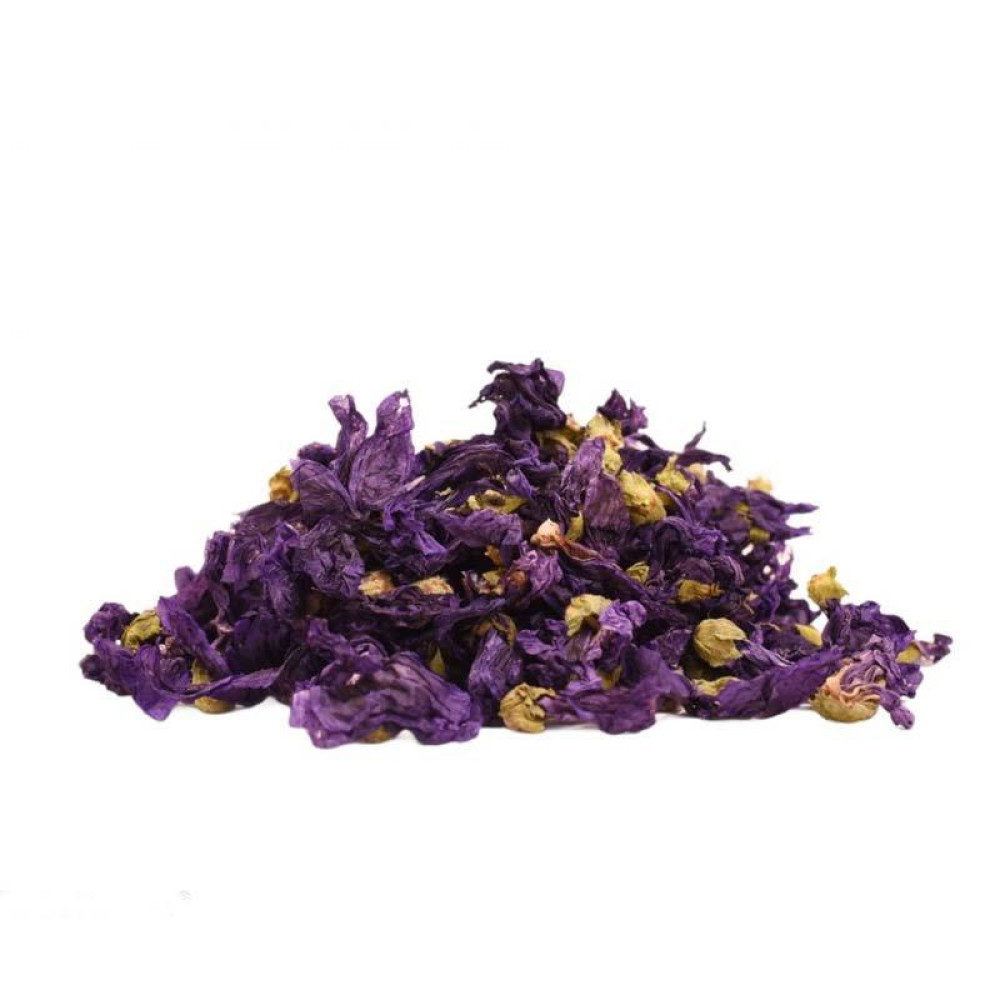 Μολόχα (Αγριομολόχα, Μουλούχα, Αμπελόχα, Μαλάχη, Malva silvestris)