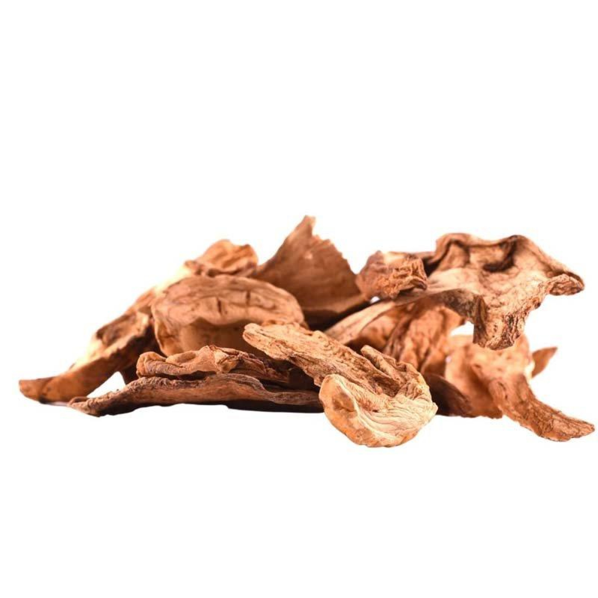 Porcini Μανιτάρι Αποξηραμένο