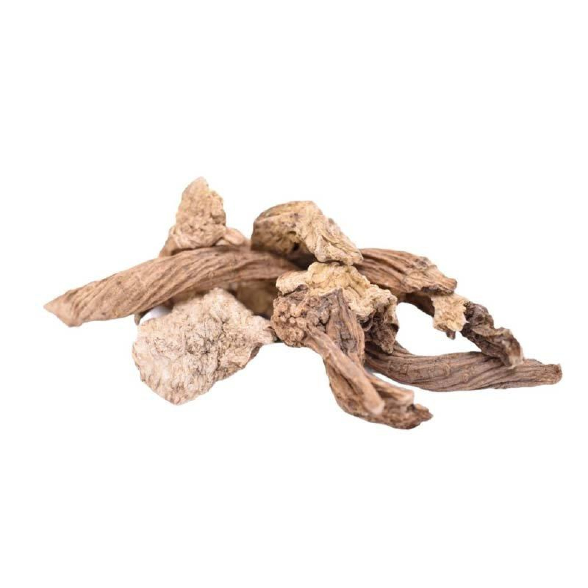 Τσουένι Ρίζα (Σαπωνάρια, Σαπουνόχορτο)