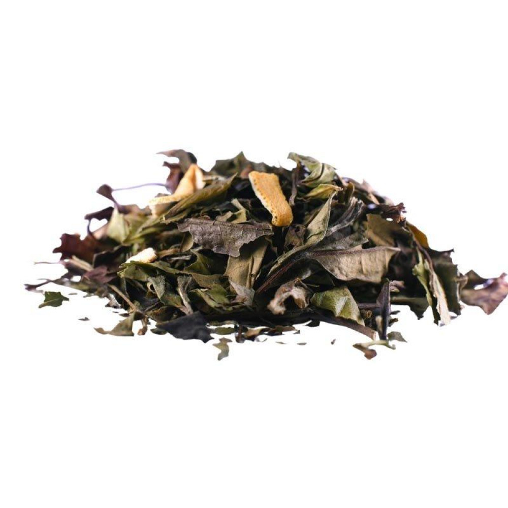 Χειμωνιάτικη Σύνθεση